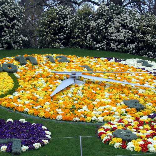 Flower clock