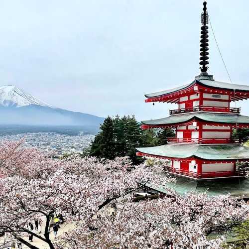 Фудзикавагутико, Япония