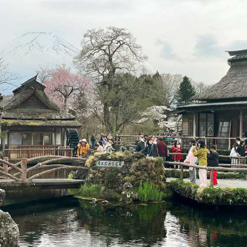 Фудзикавагутико, Япония