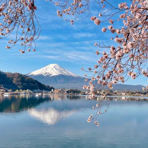 Фудзикавагутико, Япония