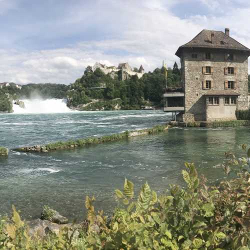 Нойхаузен-ам-Райнфалль, Швейцария