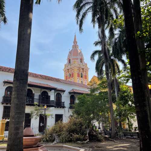 Catedral de Cartagena photo