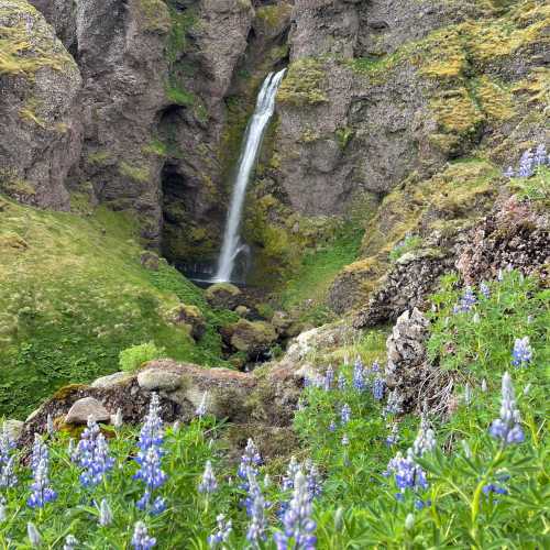 Sionyfoss, Исландия