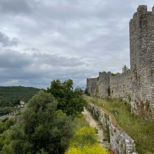 Vista do Castelo photo
