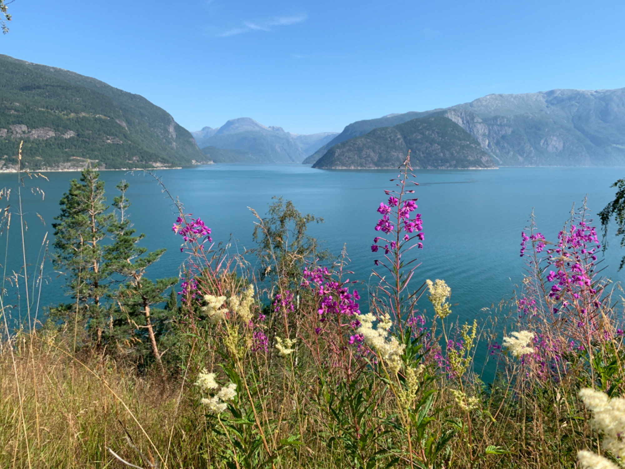 Eidfjorden, Норвегия