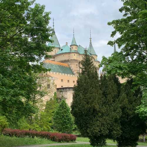 Замок Бойнице, Словакия