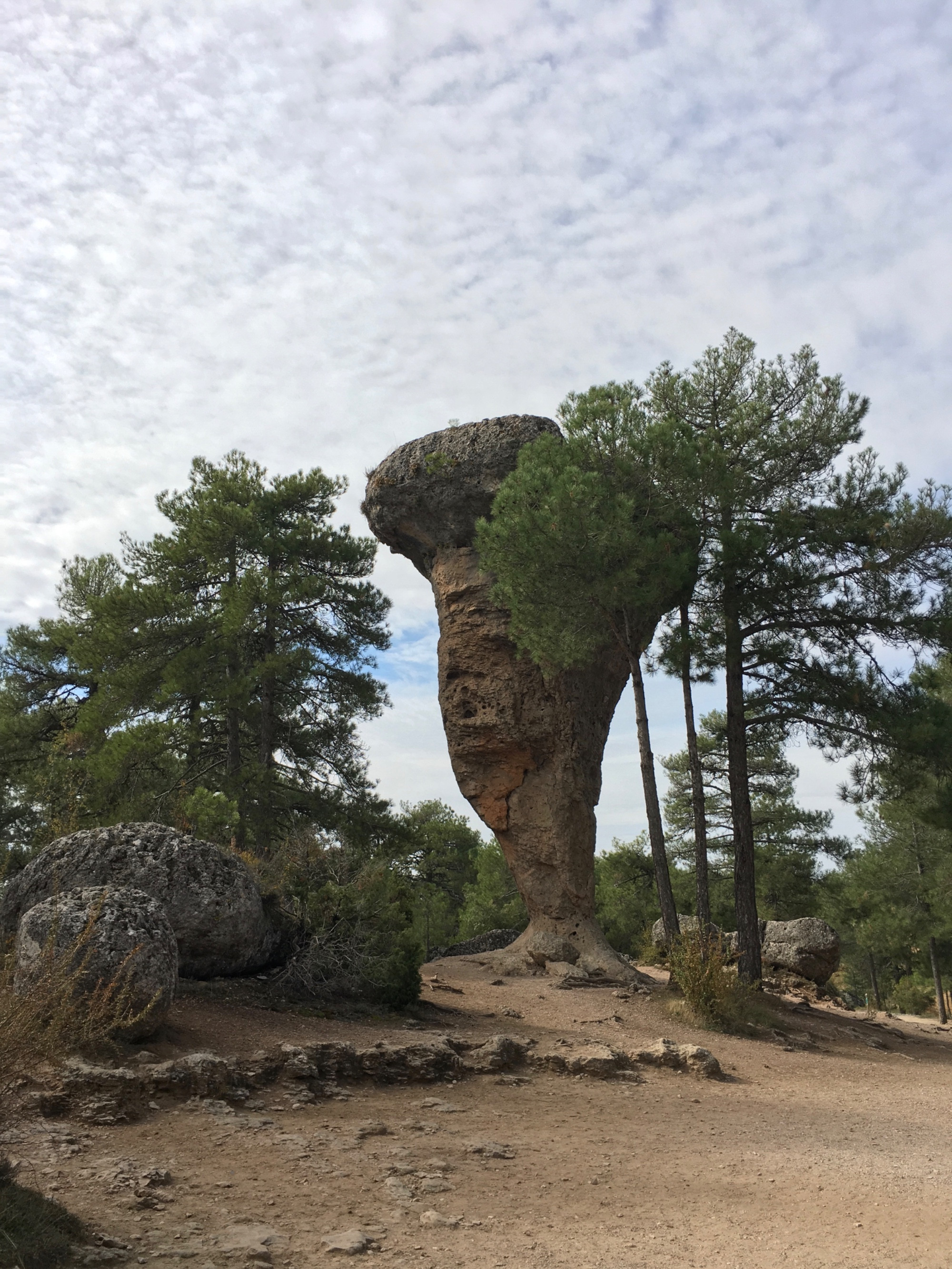 Каменный лес Куэнки, Spain