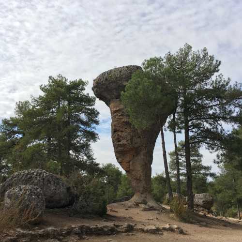 Каменный лес Куэнки, Испания