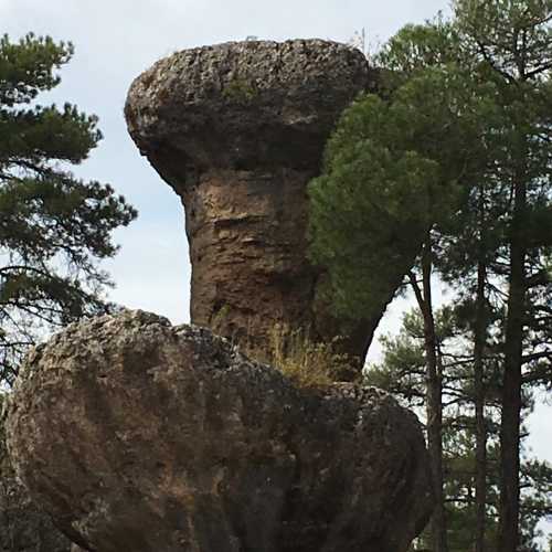 Каменный лес Куэнки, Spain