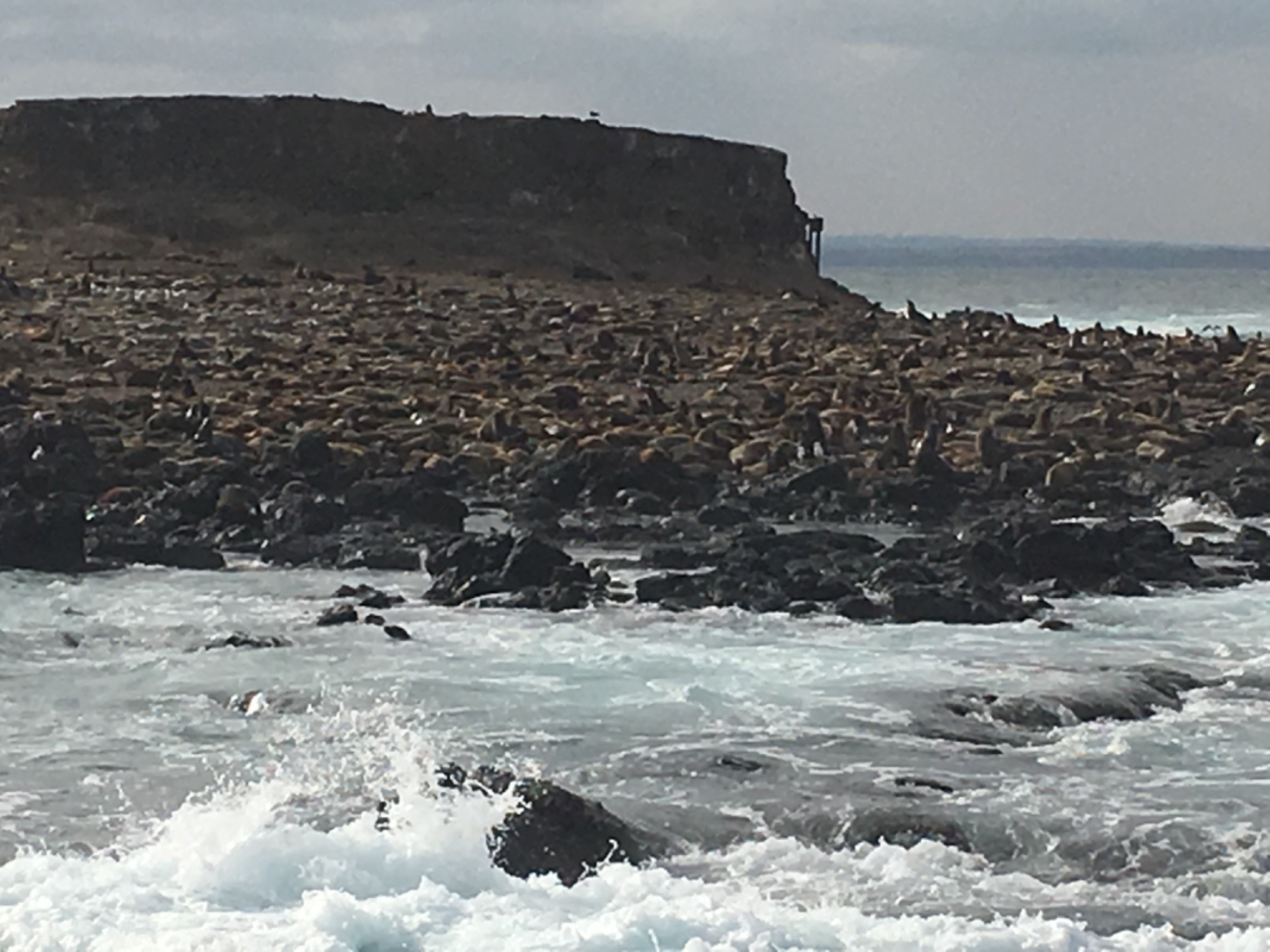 Seal rocks, Australia