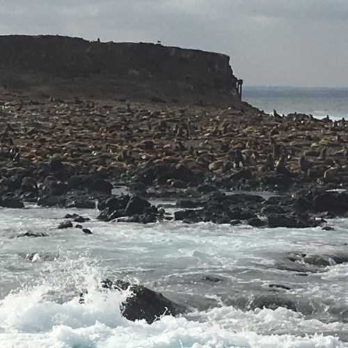 Seal rocks