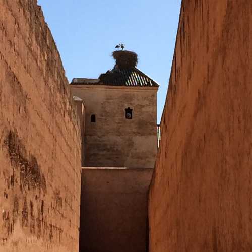 Эль Бади, Morocco