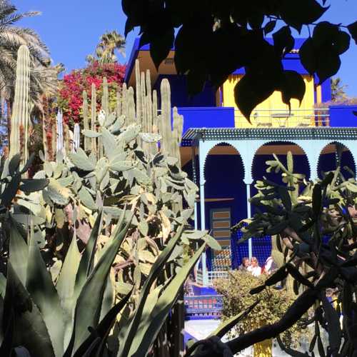 Сад Мажорель, Марокко
