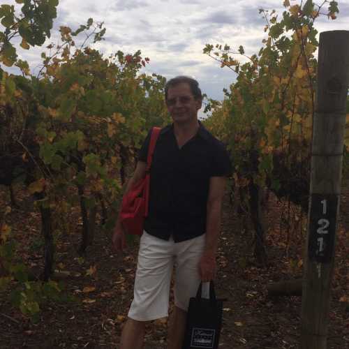 Виноградники Penola, Австралия
