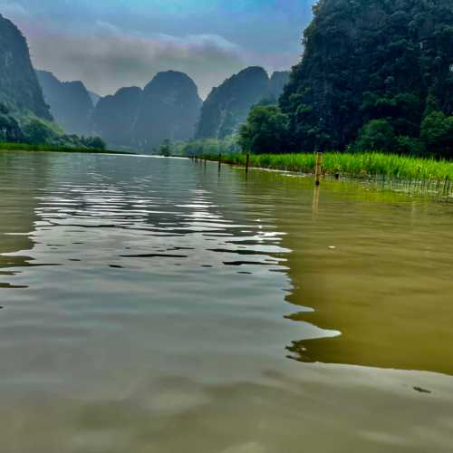 Van Long Wetland Nature Reserve, Vietnam