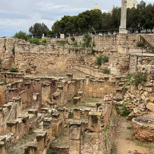 Punic Necropolises, Тунис