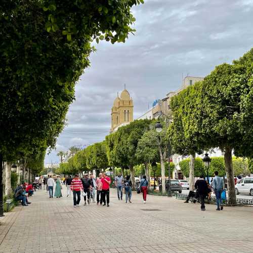 Тунис, Тунис