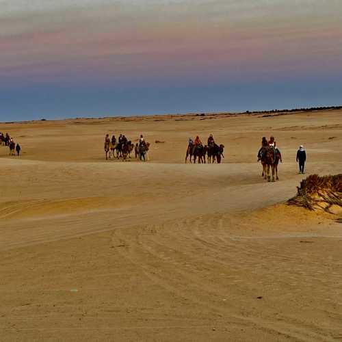 Пустыня Сахара, Тунис