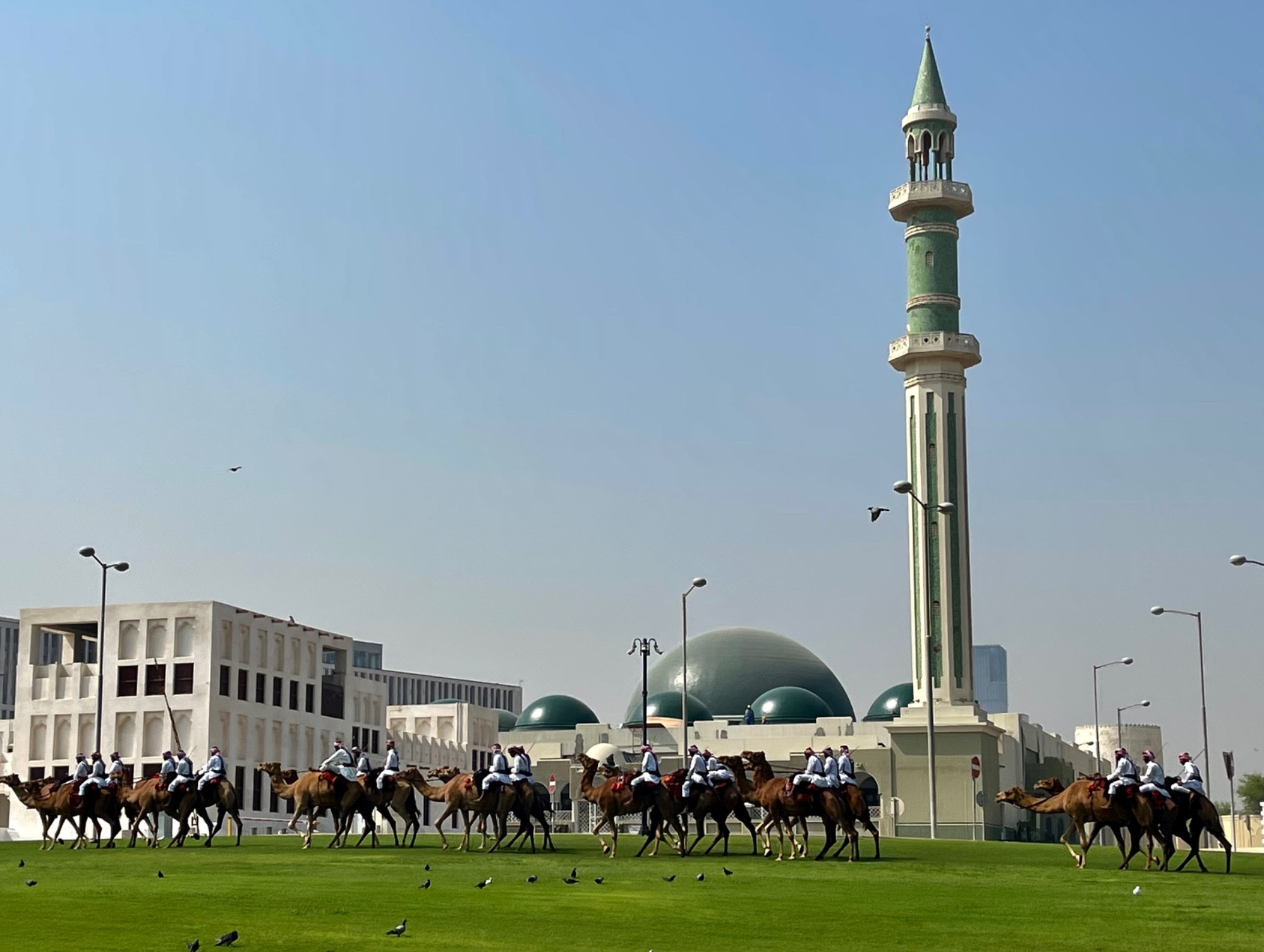 Верблюжья гвардия перед дворцом, Катар