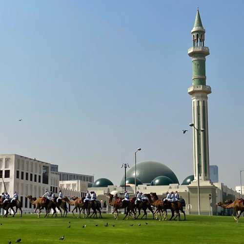 Верблюжья гвардия перед дворцом, Катар