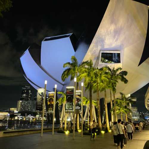 ArtScience Museum, Сингапур