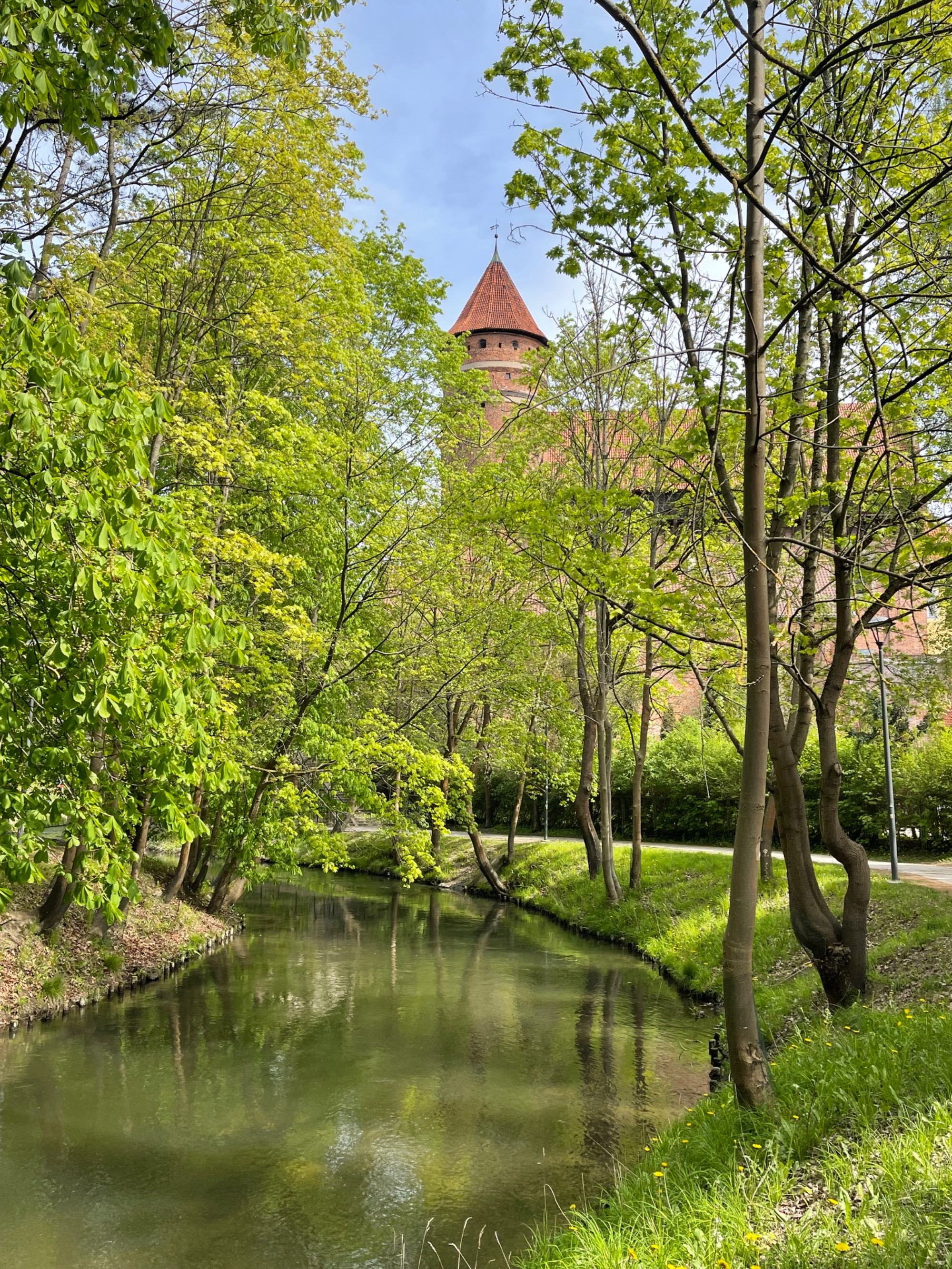 Городской парк, Польша