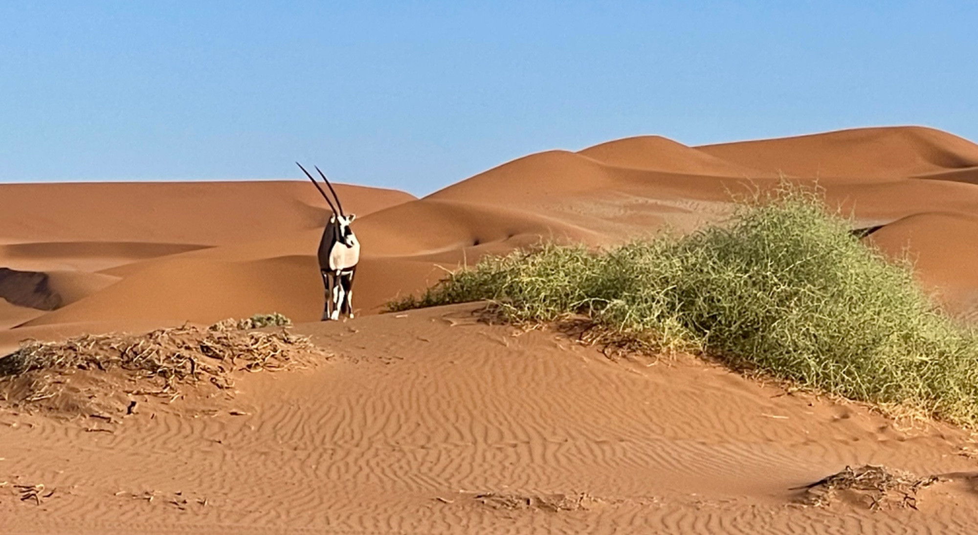 Sossusvlei, Namibia