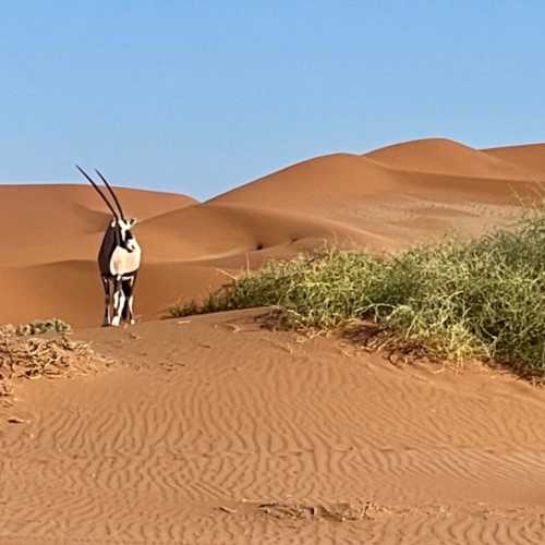 Sossusvlei, Namibia