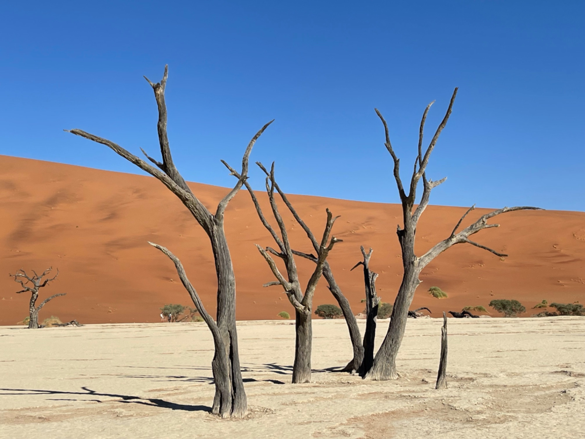 Deadvlei, Namibia