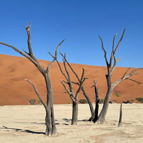 Deadvlei, Namibia