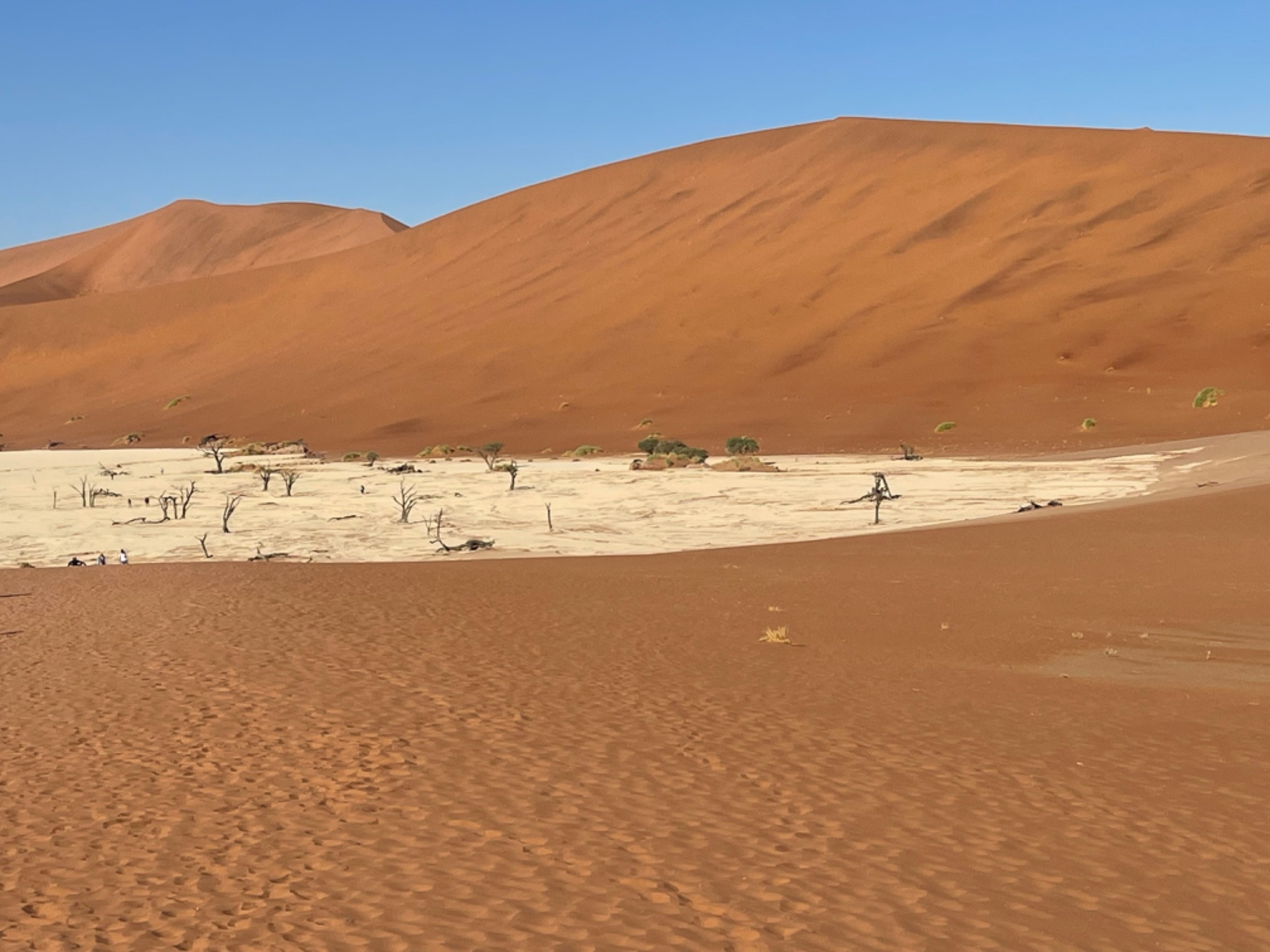 Deadvlei, Namibia