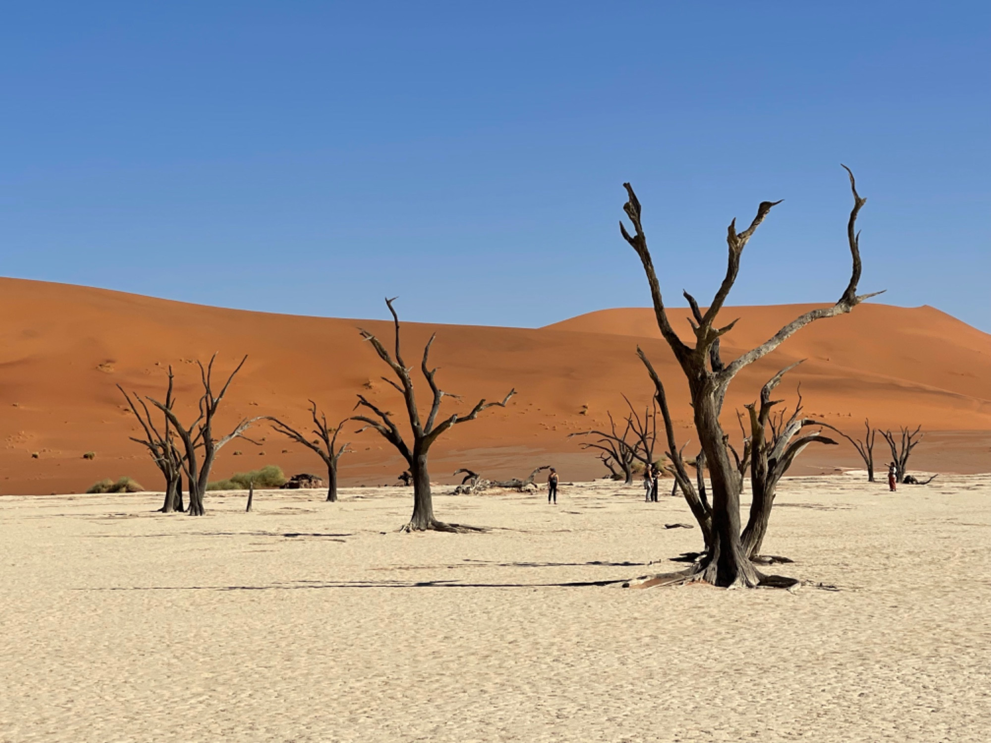 Deadvlei, Namibia