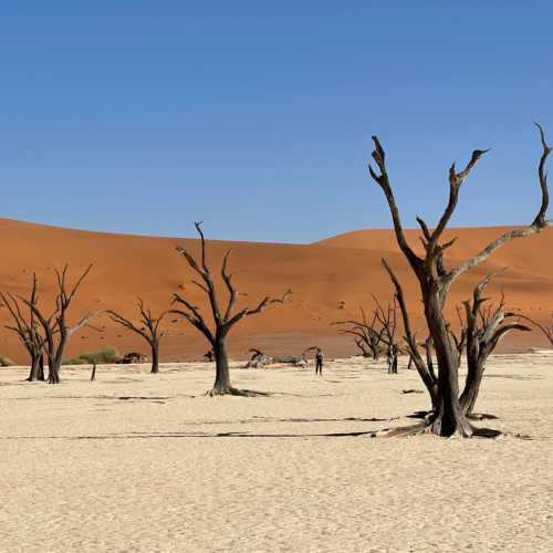 Deadvlei, Намибия