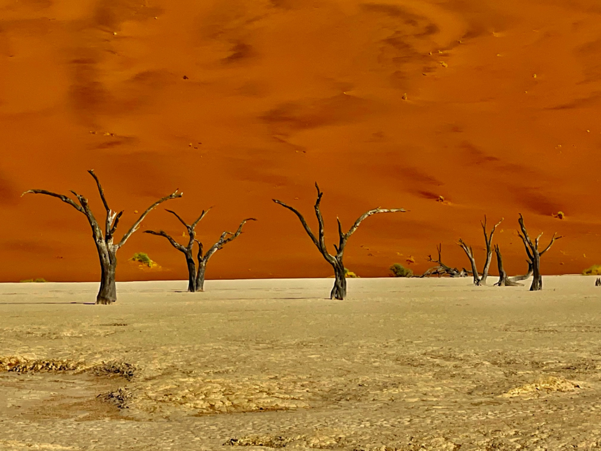 Deadvlei, Namibia