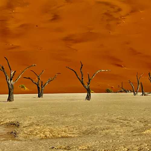 Deadvlei, Намибия