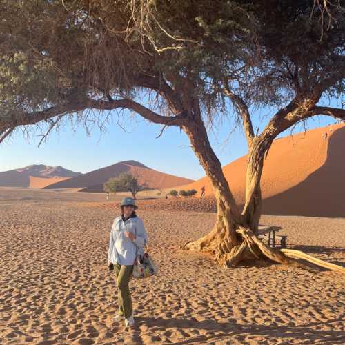 Dune 45, Namibia