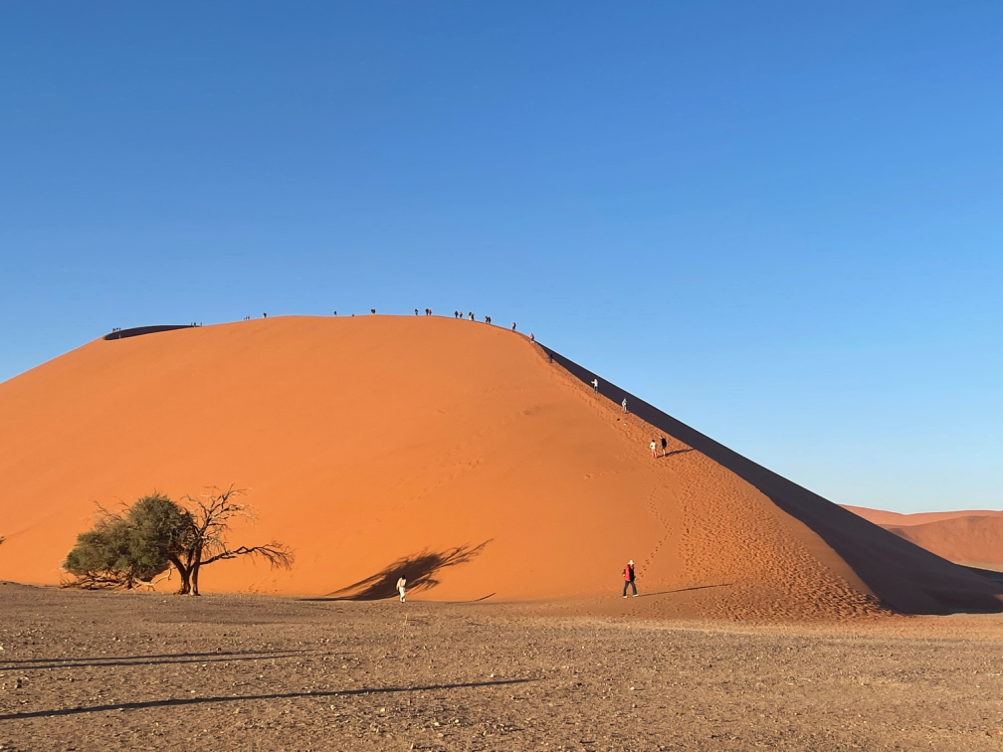 Dune 45, Namibia