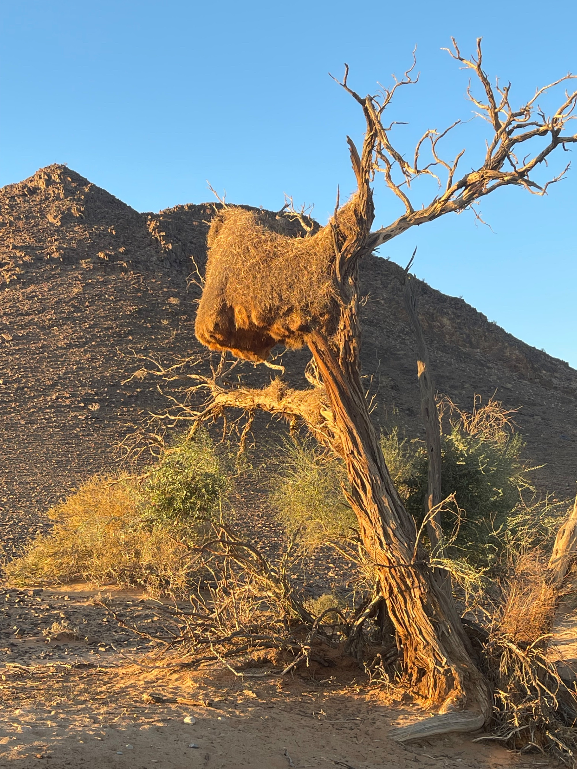 Namib Outpost, Намибия