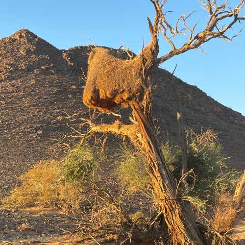 Namib Outpost, Намибия