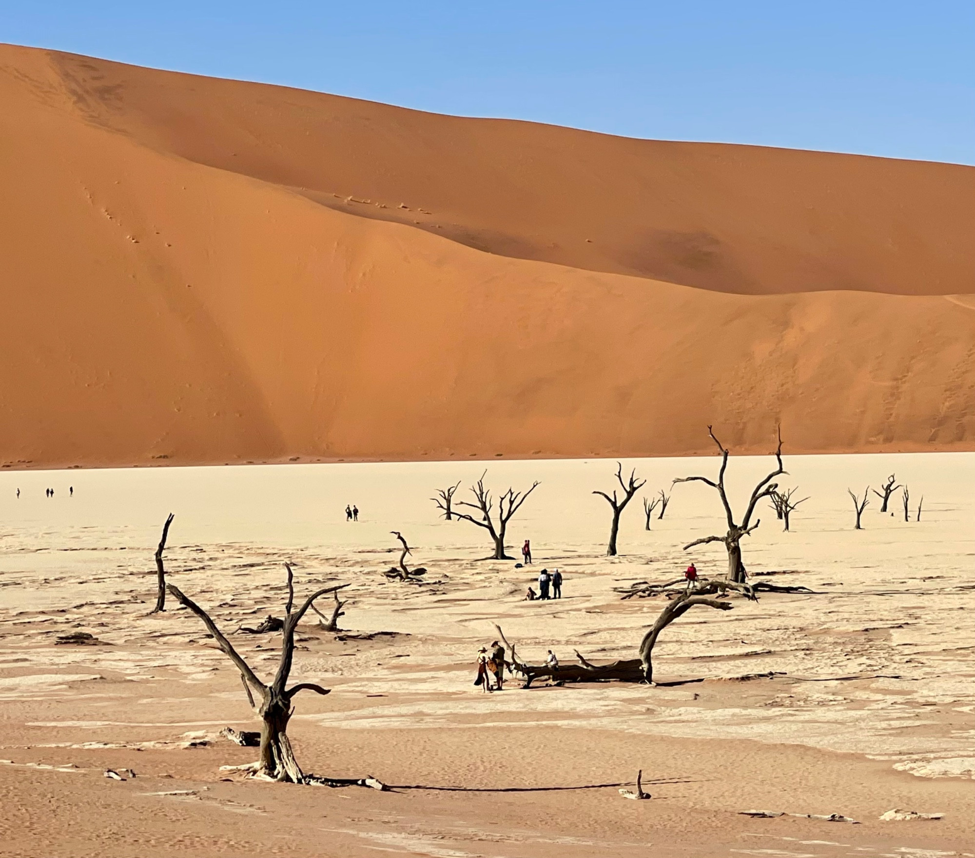 Deadvlei, Намибия