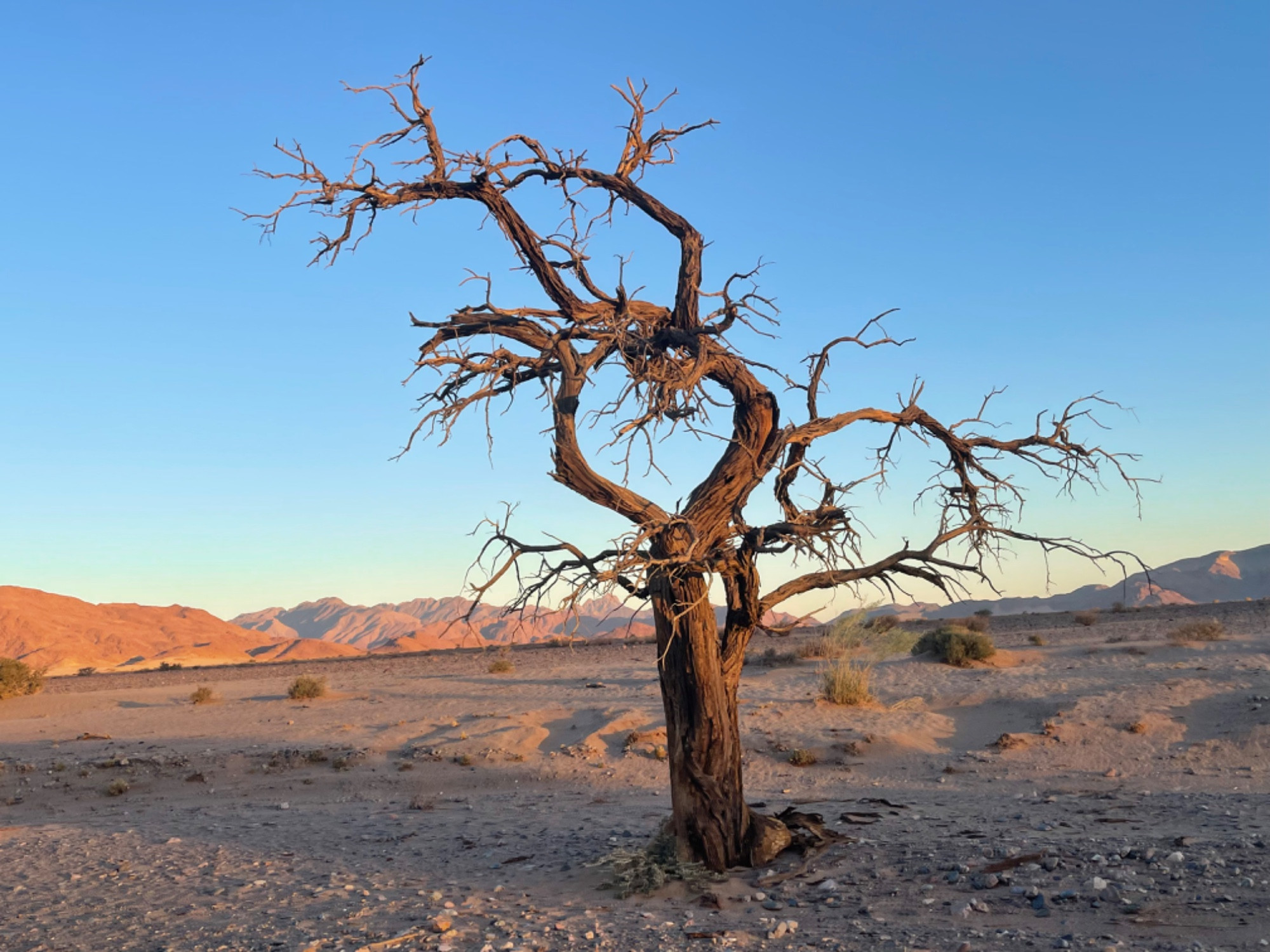 Namib Outpost, Намибия