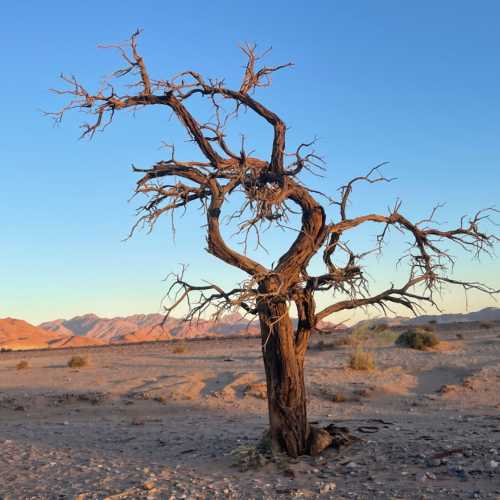 Namib Outpost, Namibia