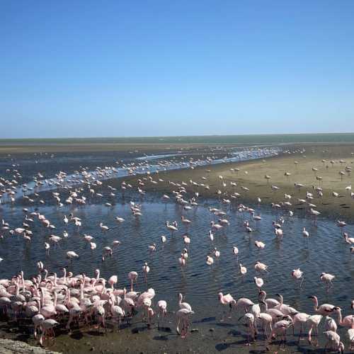 Walvis Bay, Namibia