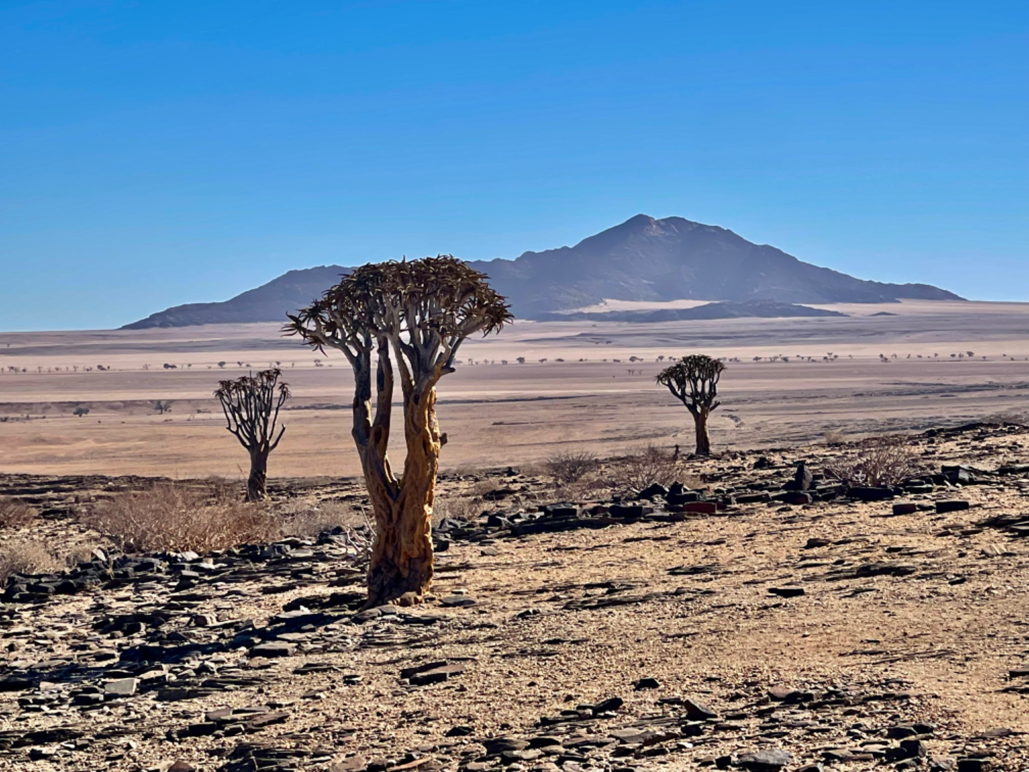 Национальный парк Намиб-Науклуфт, Namibia