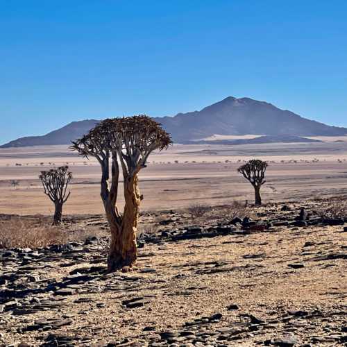 Национальный парк Намиб-Науклуфт, Namibia