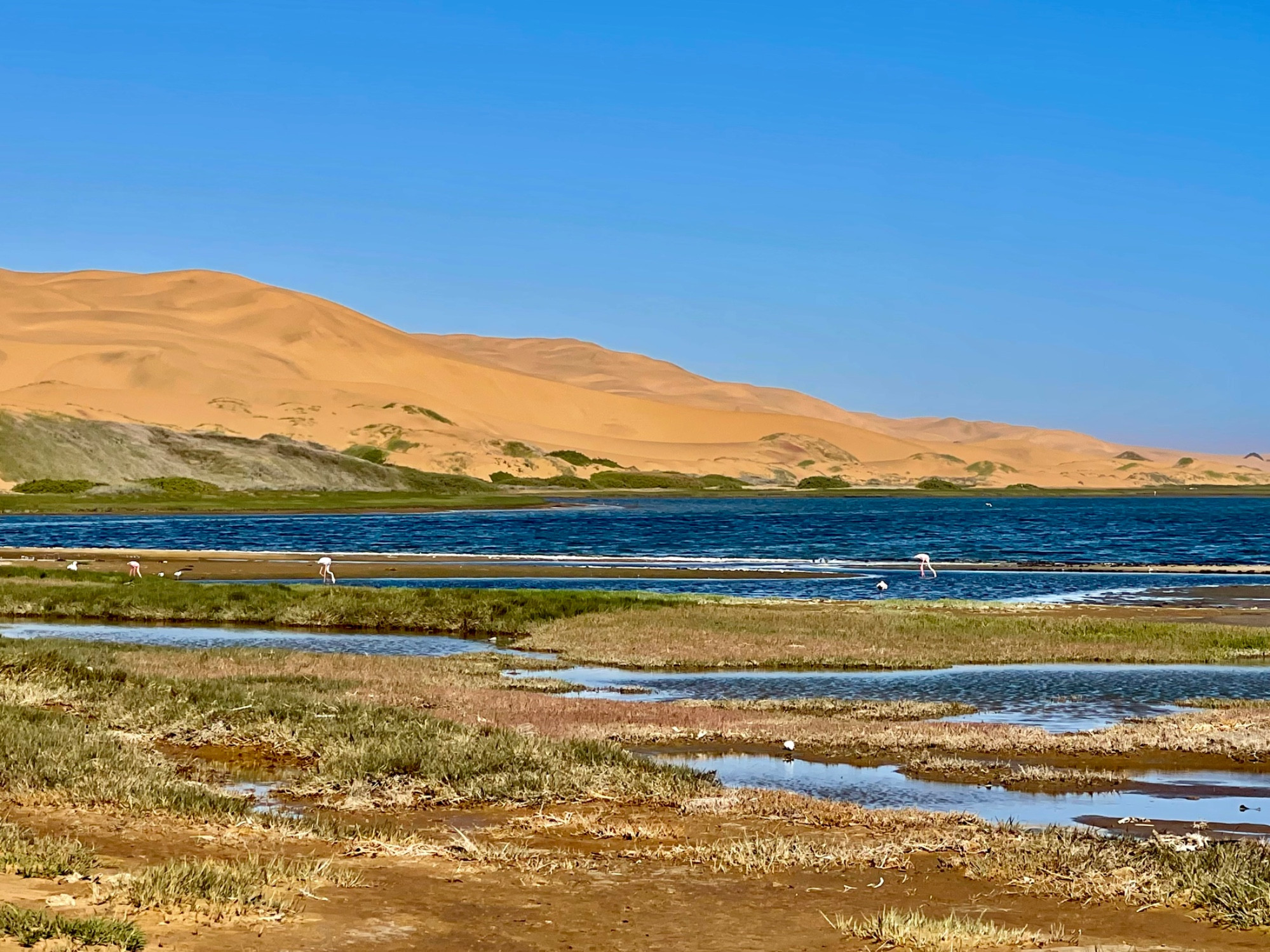 Sandwich bay, Namibia