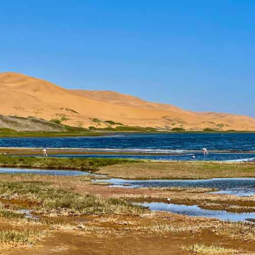 Sandwich bay, Namibia