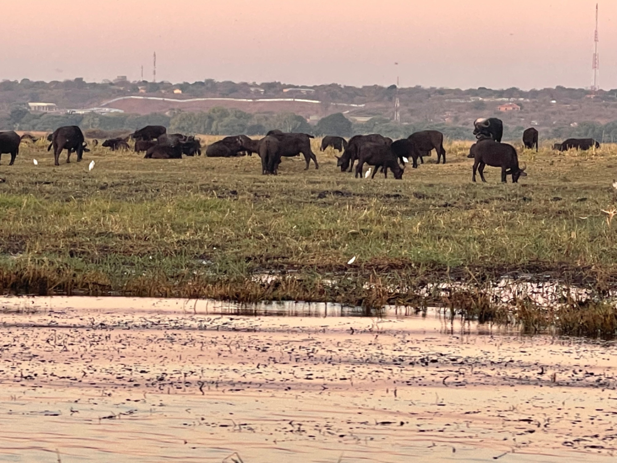 Долина  реки Чобе, Botswana