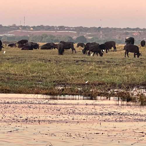 Долина  реки Чобе, Botswana