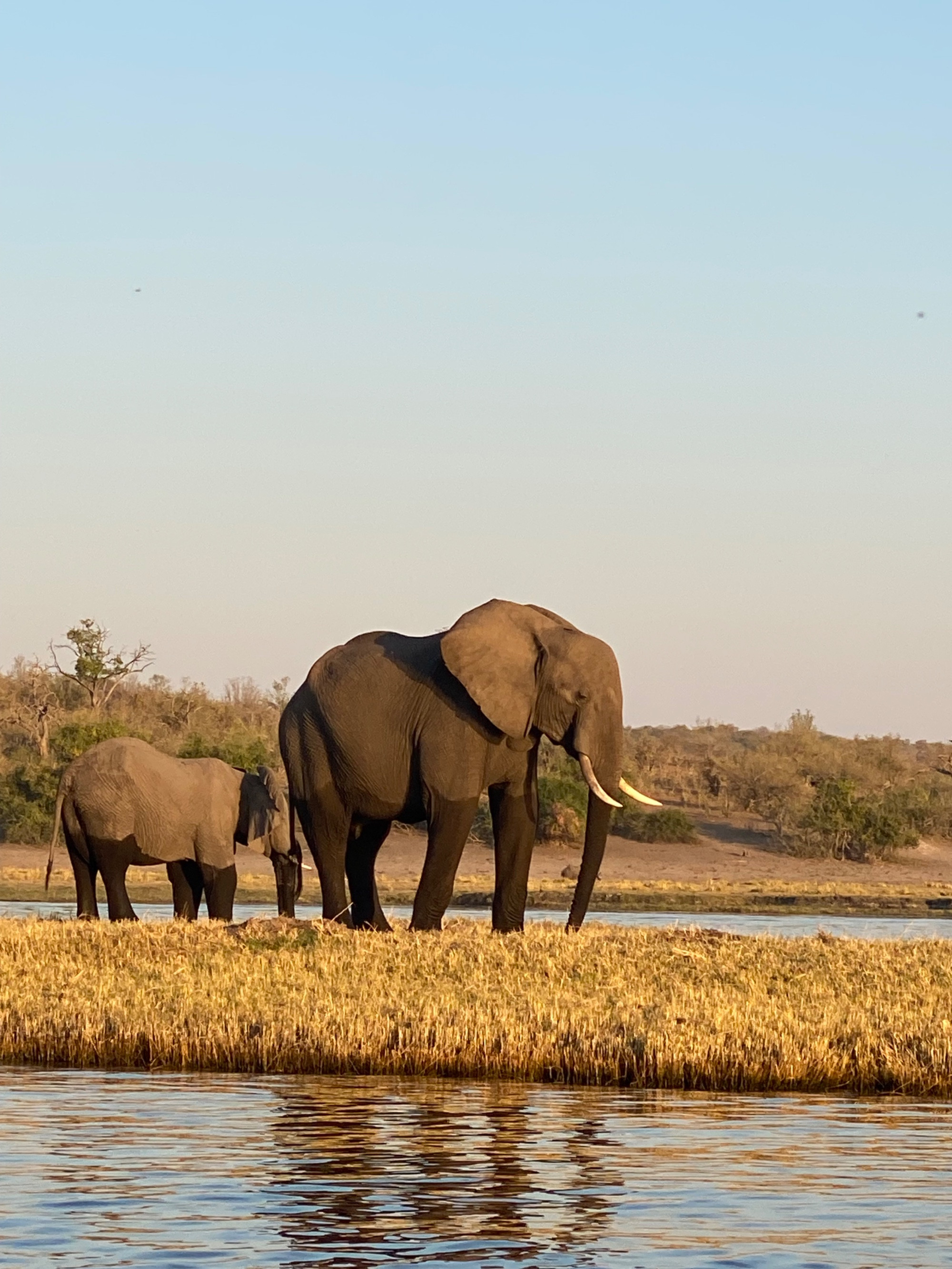 Долина  реки Чобе, Botswana